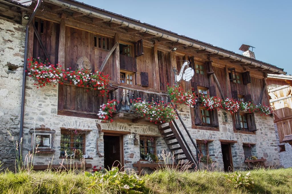 Chalet Alpenrose Bio Wellness Naturhotel Коголо Екстериор снимка